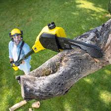Best Hedge Trimming  in Malaga, NJ