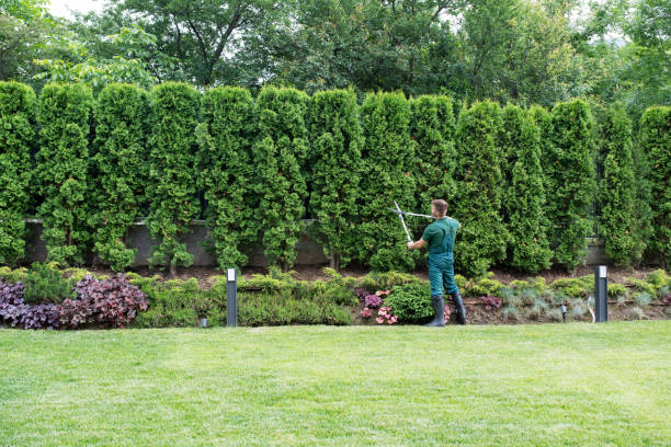 Best Lawn Irrigation Installation and Maintenance  in Malaga, NJ